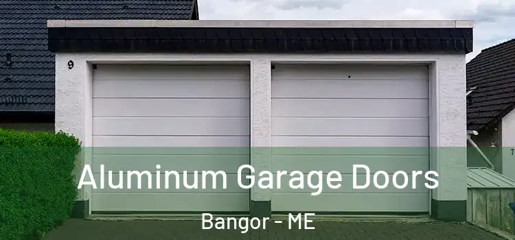  Aluminum Garage Doors Bangor - ME