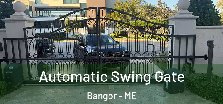  Automatic Swing Gate Bangor - ME