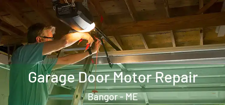  Garage Door Motor Repair Bangor - ME