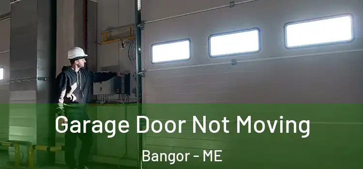  Garage Door Not Moving Bangor - ME