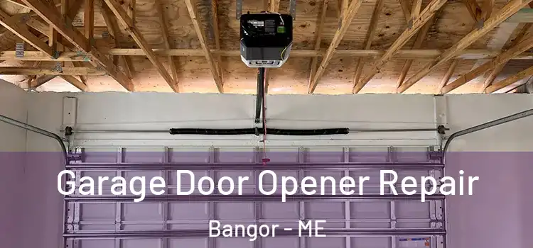  Garage Door Opener Repair Bangor - ME