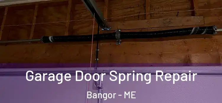 Garage Door Spring Repair Bangor - ME