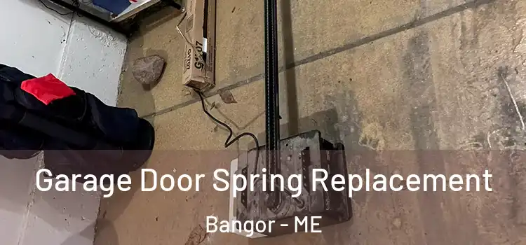  Garage Door Spring Replacement Bangor - ME