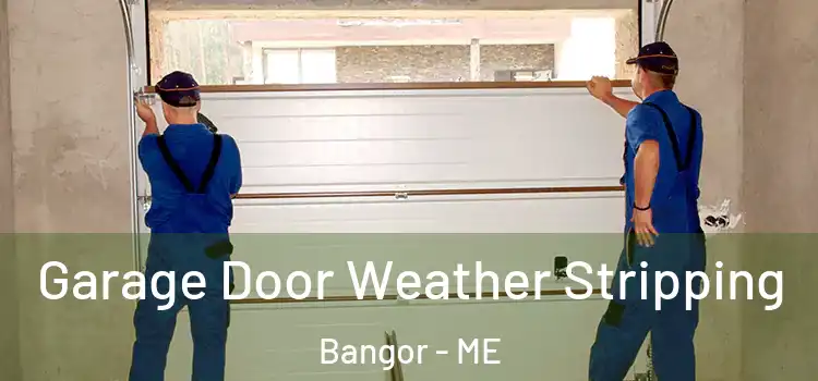  Garage Door Weather Stripping Bangor - ME