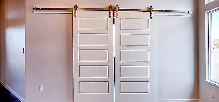 Glass Barn Door with Installation Hardware Kit Bangor