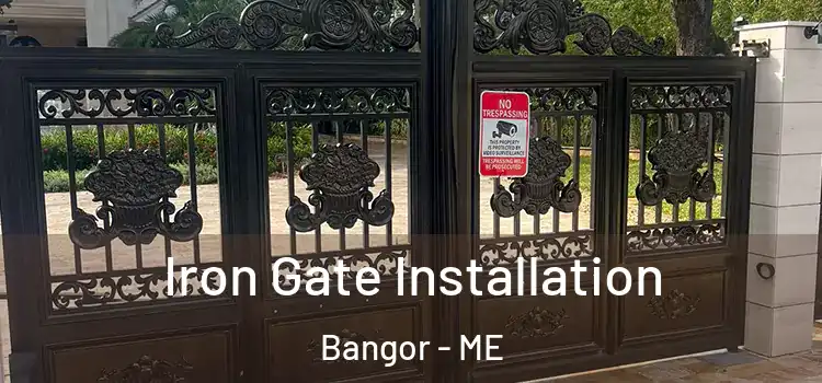 Iron Gate Installation Bangor - ME
