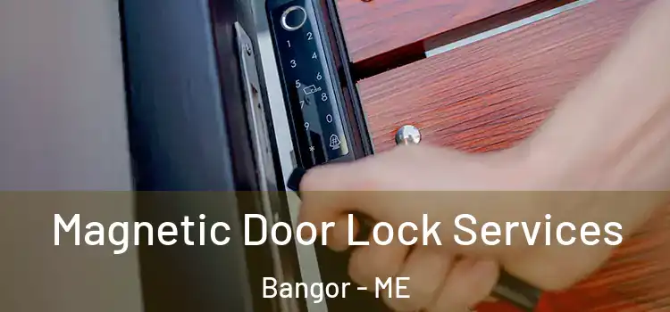 Magnetic Door Lock Services Bangor - ME