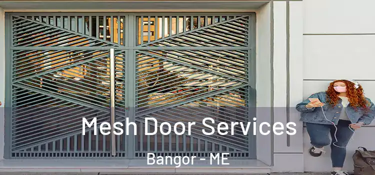 Mesh Door Services Bangor - ME