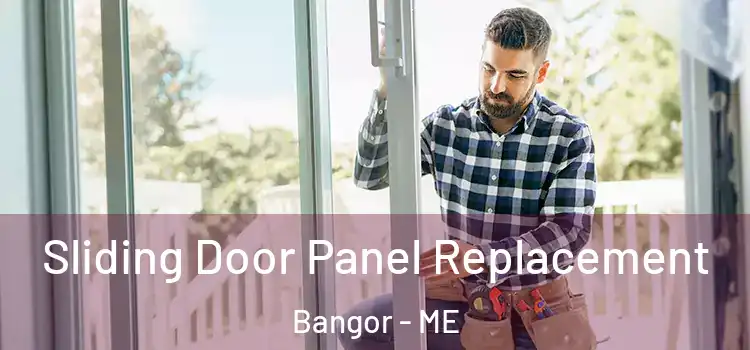  Sliding Door Panel Replacement Bangor - ME