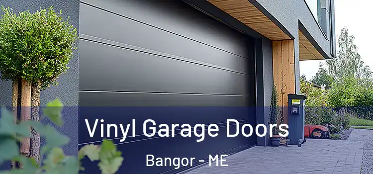  Vinyl Garage Doors Bangor - ME